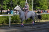 Immagine <b>REG_9321</b>